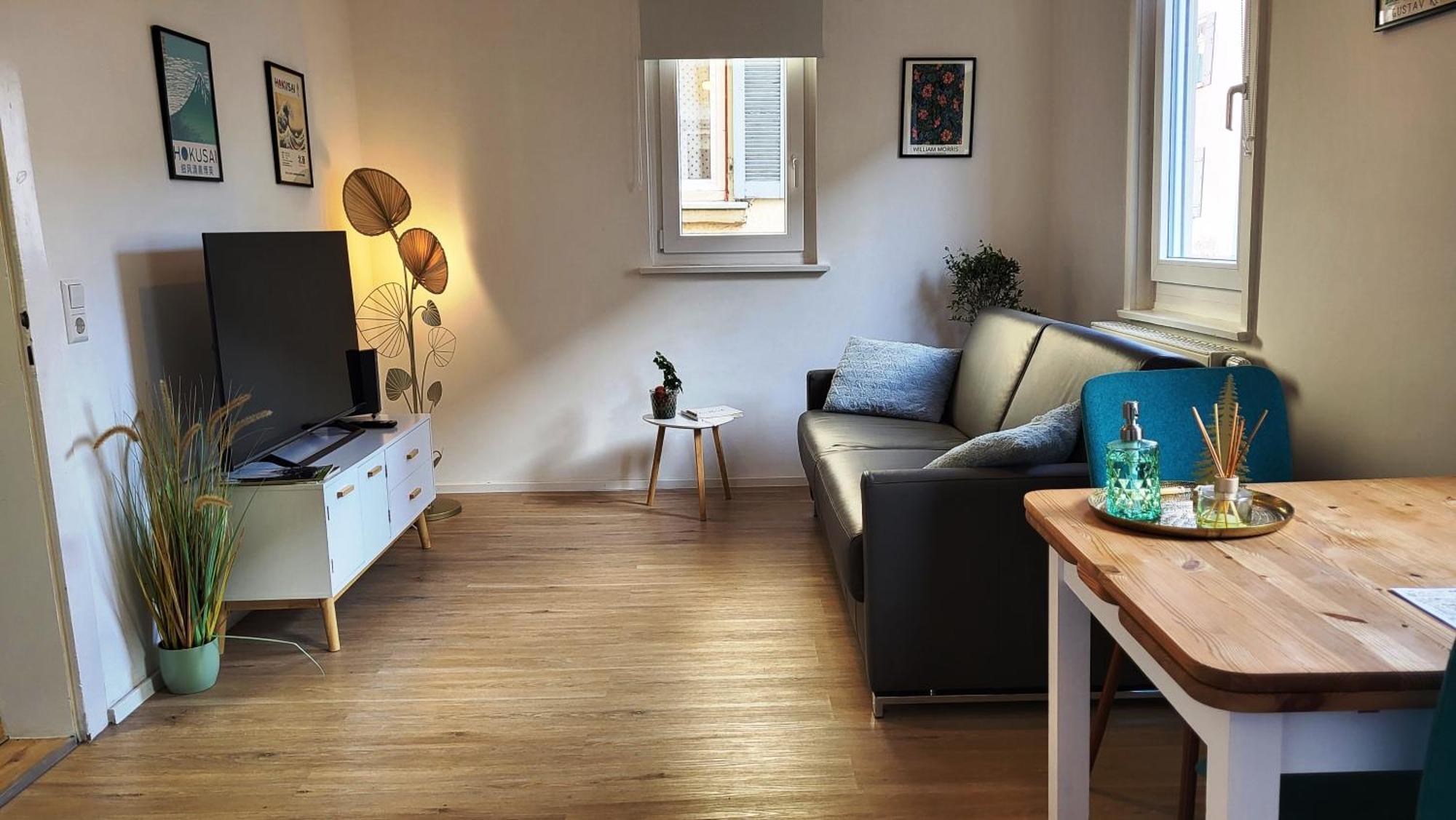Apartment Weberstrasse توبنجن المظهر الخارجي الصورة